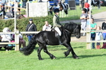 SBM_51981