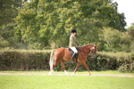 SBM_49968