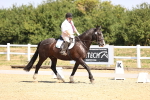 SBM_003608