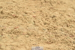 230720A-145608-03394