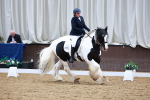 SBM_003164