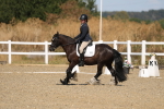SBM_013541