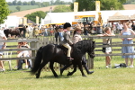 SBM_05211