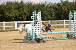SBM_006456