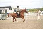 SBM_17851