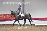 BPP_5552