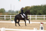 SBM_007579