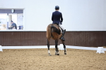 SBM_009194