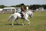 SBM_09195