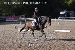 BPP_9320
