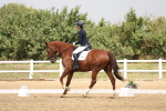 SBM_006321