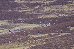 Black Combe-473