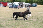 WJ6_6819