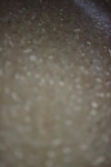 SBM_002561