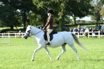 SBM_54049