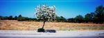 Rhodes Greece