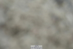 230326A-141852-01957