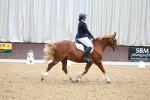 SBM_011557