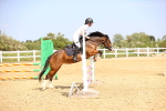 SBM_001311