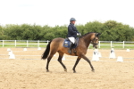 SBM_008869