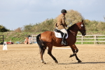SBM_002173