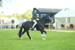 SBM_42009