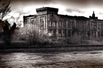 Rosefield Mills
