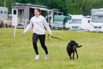 CLASS 7 HORSE & HOUND RING 2 portfolio