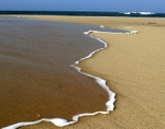 Ribbon on the Sand 11 x 14