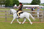 SBM_08578