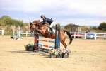 SBM_008364