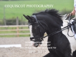 BPP_6212