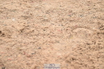 240720A-101115-13586