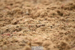230429A-104500-00206