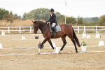 SBM_003683