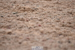 230708A-145010-03154