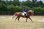 WJ6_0963