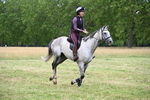 WJ6_5517