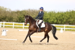 SBM_008038