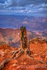 Canyon Casualty