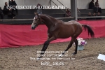 BPP_1835