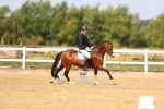 SBM_011428
