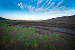 Sand Dunes sunrise