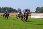 300824-Race 1-Tuscan Hills-5612