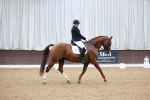 SBM_018731