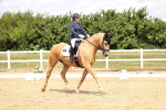 SBM_002991