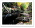 Deep ♦ NORTH ESK GORGE