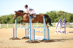 SBM_002965
