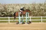 SBM_002698