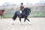 SBM_006307